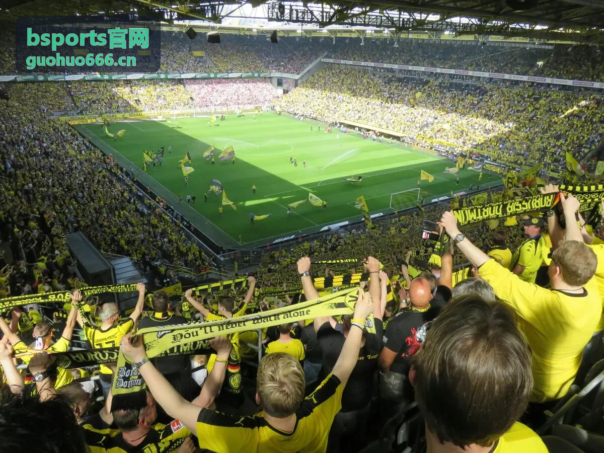 bsports 运动数据可视化封面